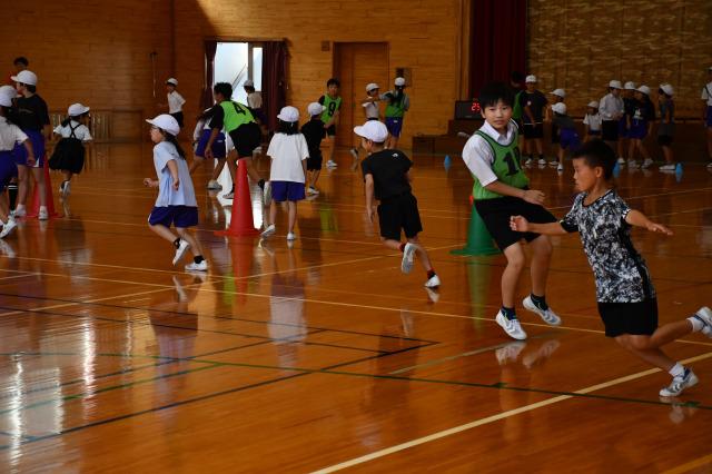 DSC_4534.jpg