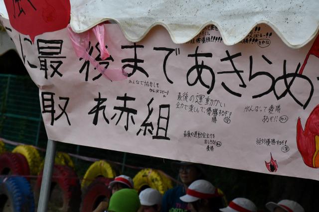 DSC_4549.jpg