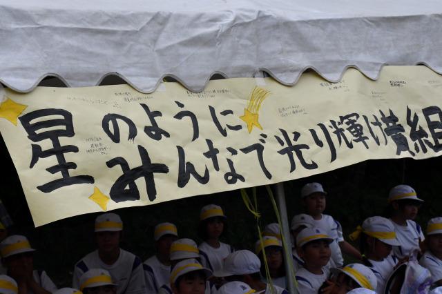 DSC_4553.jpg
