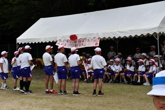 DSC_4557.jpg