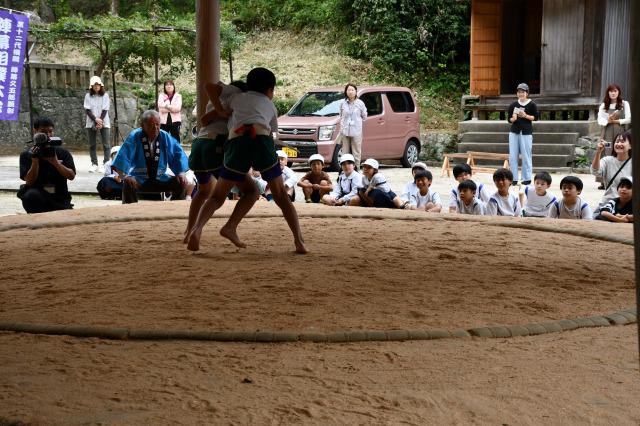 DSC_7524.jpg
