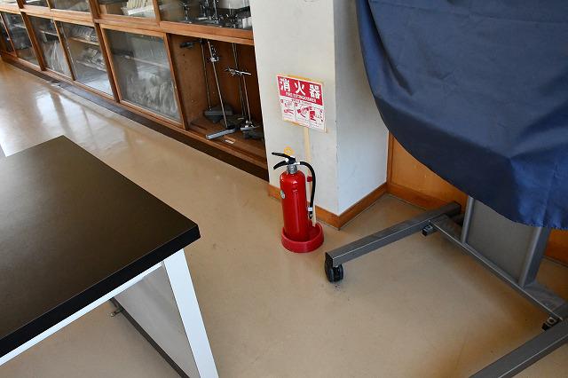 DSC_5896.jpg