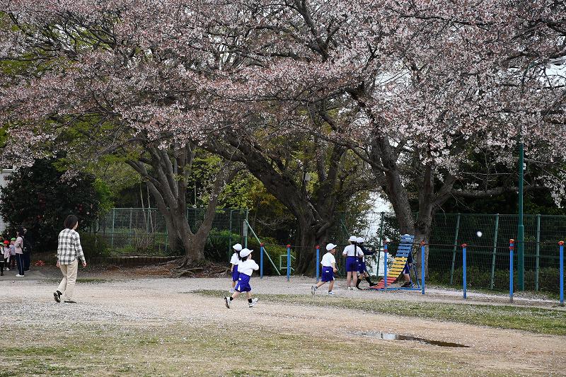 DSC_7733.jpg