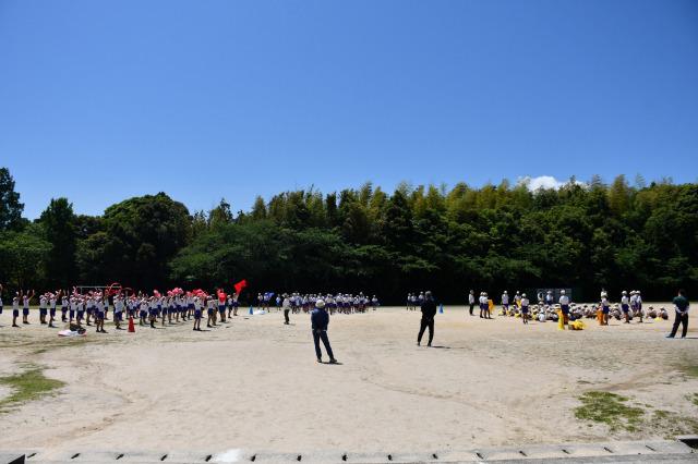 DSC_9515.jpg