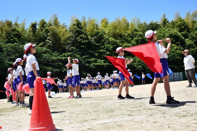 DSC_9516.jpg