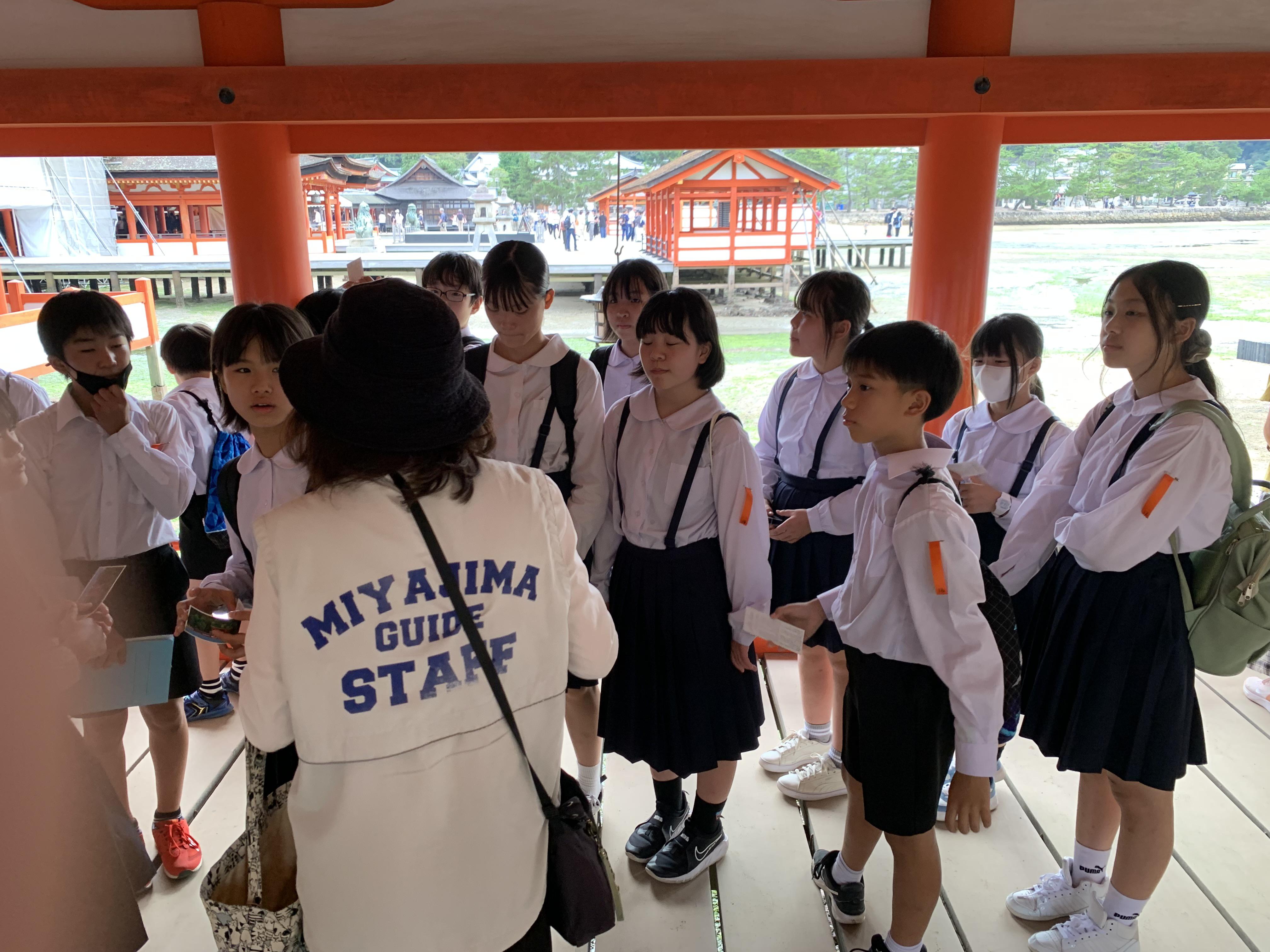 IMG_2642.jpeg