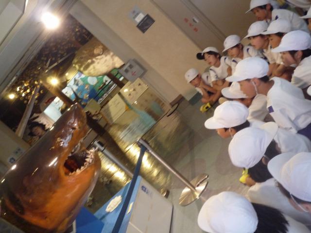 P1140480.jpg