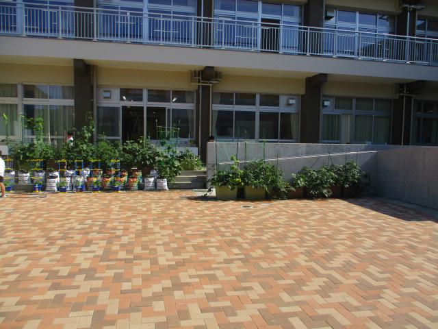 特支野菜②.JPG