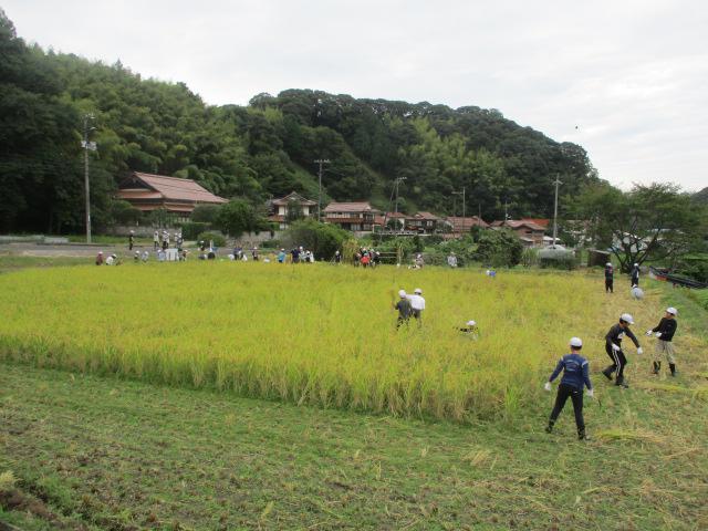 IMG_8544.JPG