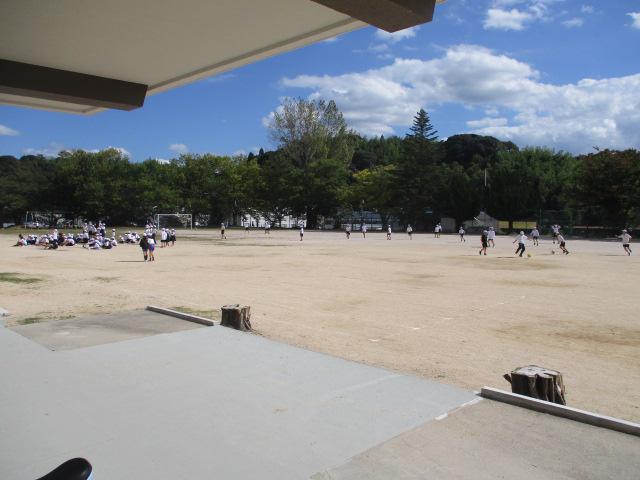 IMG_8603.JPG