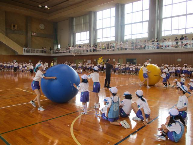 大玉転がし.JPG