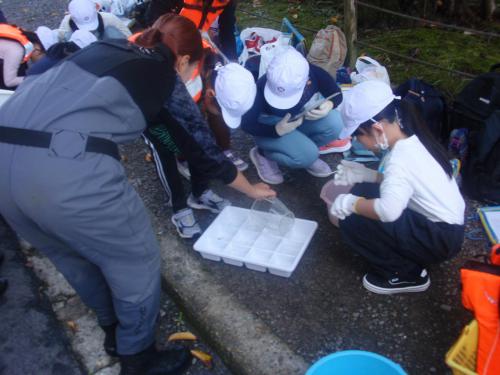 堀川水質5.JPG
