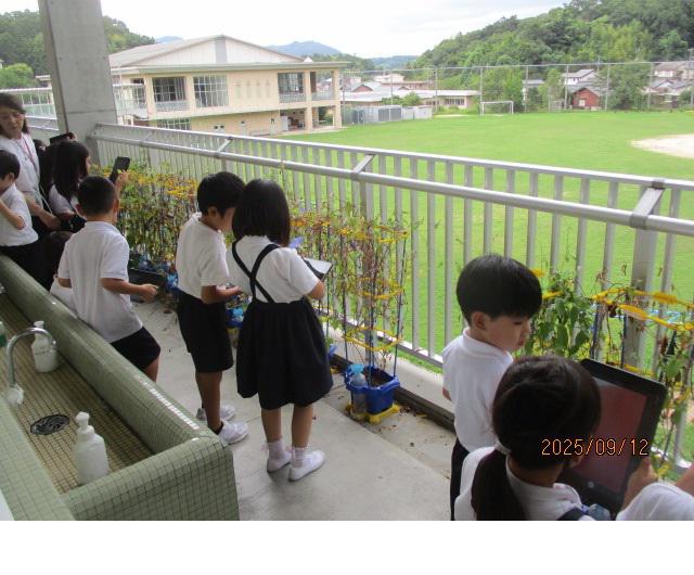 1年.jpg