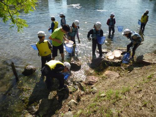 堀川水草5.JPG