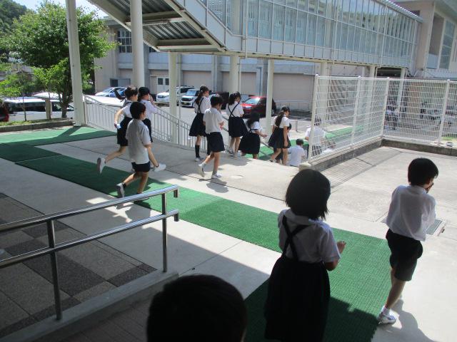 IMG_4659.JPG