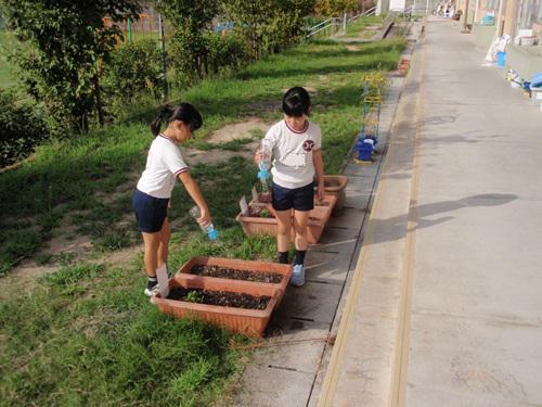P1010011.JPG