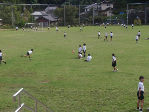 ドッジ 庭.JPG