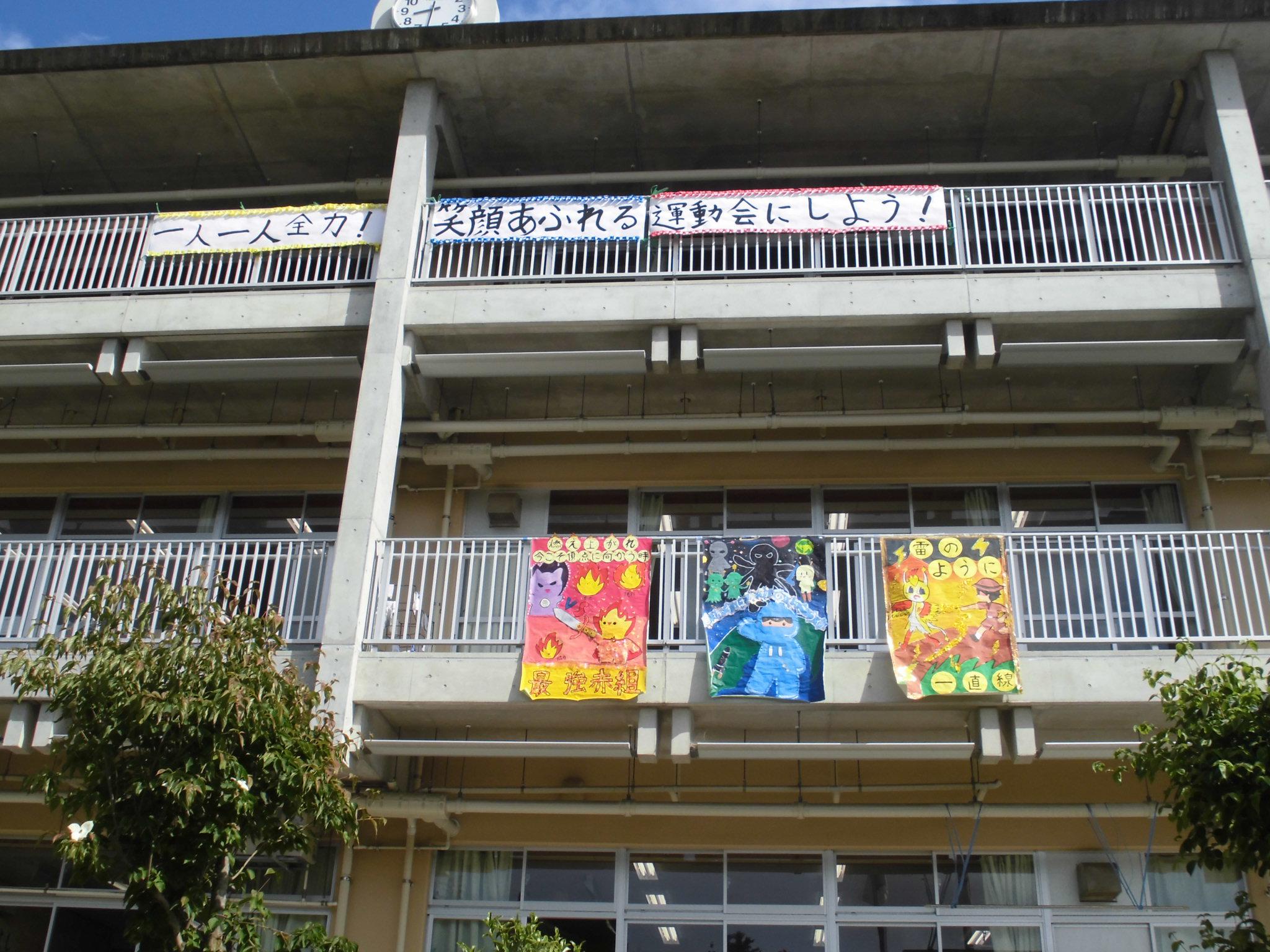 CIMG7855.JPG