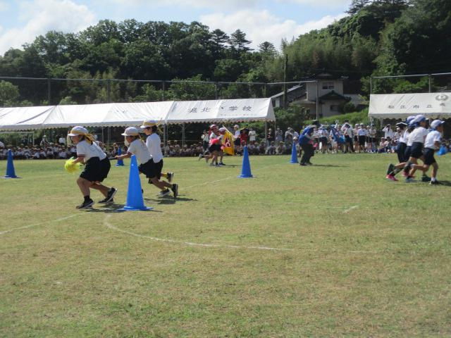 IMG_4368.JPG