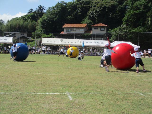 IMG_4380.JPG