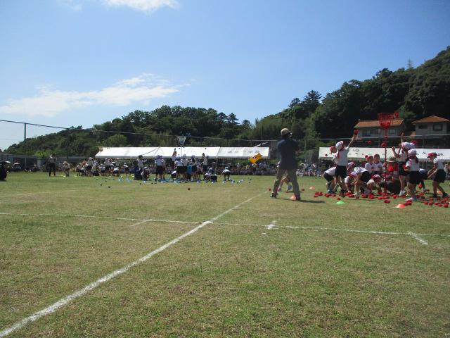 IMG_4390.JPG