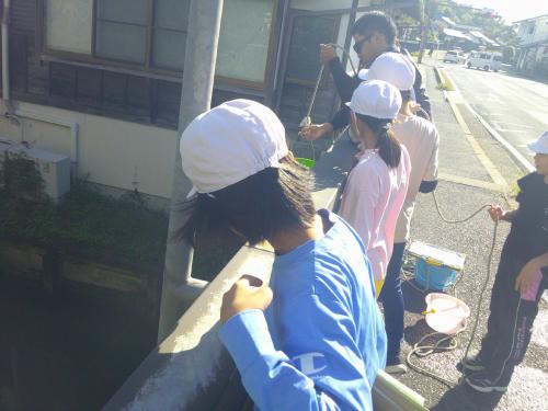 下流２.JPG