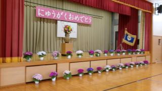 100_0078.JPG