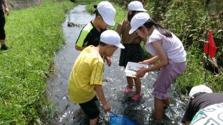 100_0662.JPG