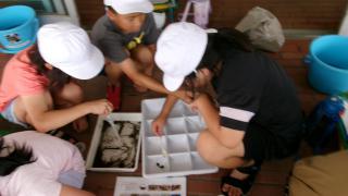 100_0696.JPG