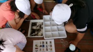 100_0714.JPG