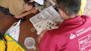 100_0715.JPG