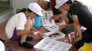 100_0716.JPG