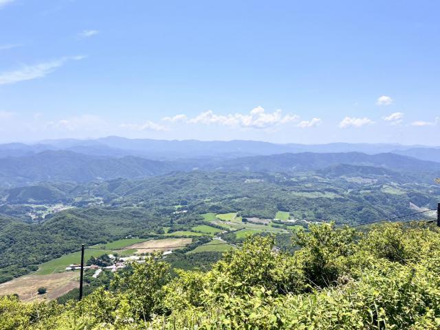 image2 (3).jpeg