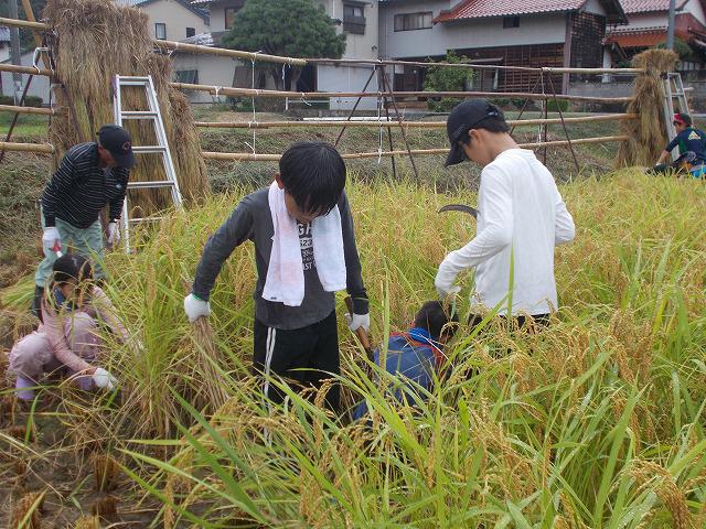 DSCN0188.jpg