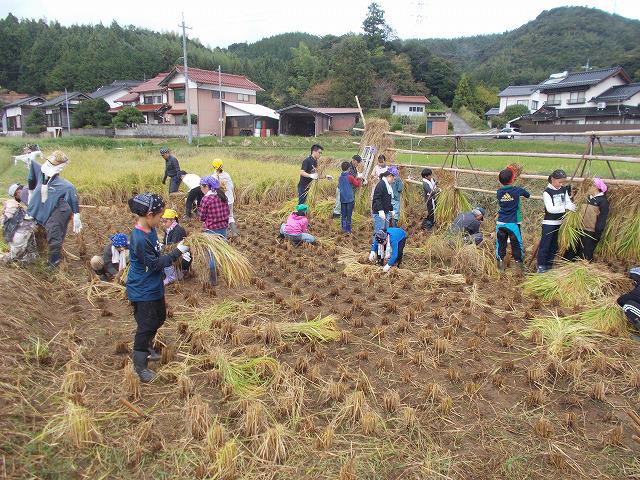 DSCN0210.jpg