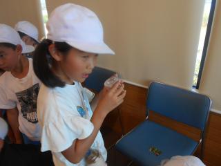 DSCN2834.JPG