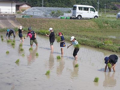 DSCN7558.jpg