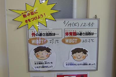 IMGP2496.jpg