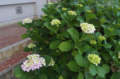 IMGP2846.jpg