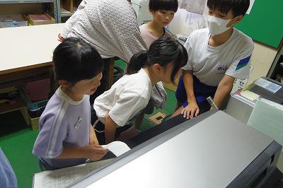 IMGP2918.jpg