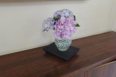IMGP2955.jpg