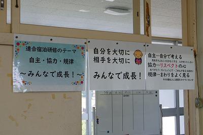 IMGP2988.jpg