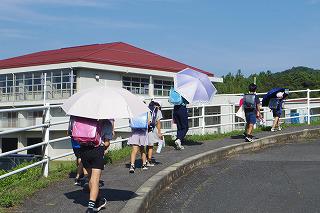IMGP3293.jpg