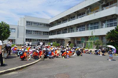 IMGP3504.jpg