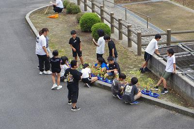 IMGP3724.jpg