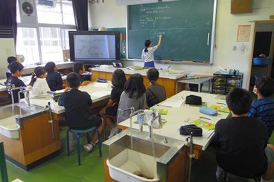 IMGP3730.jpg