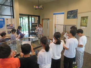 IMG_2163.JPG