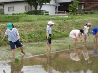 IMG_2259.JPG
