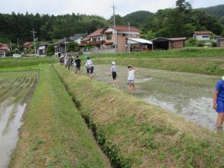 IMG_2260.JPG
