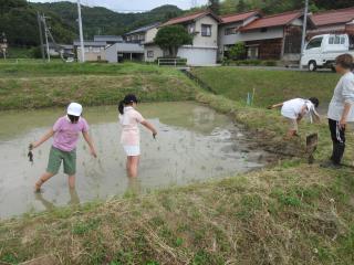 IMG_2261.JPG